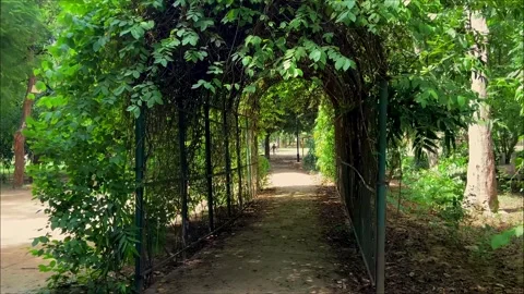 Walking Path Through a Green Garden Arch Stock Footage 341631647