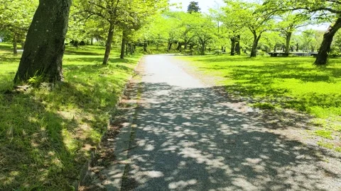 Walking path through lush fresh green foliage in Tsuruoka park Stock-Footage 327993436
