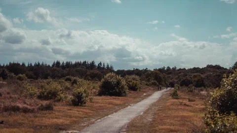 A walking path through moorland Stock Photos