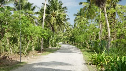 Walking path through palm trees and plantations in Union Estate park on La Digue Видео 331505834
