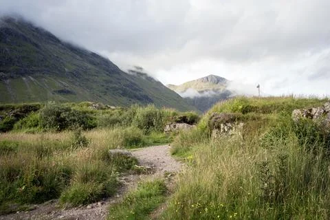 Walking path through the Scottish Highland meadow Stock Photos