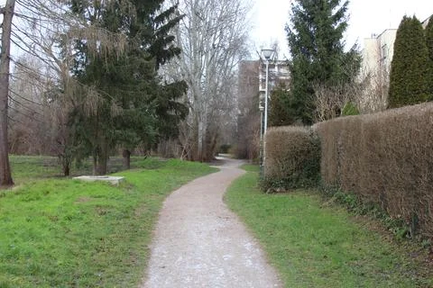 Walking path through a tranquil park surrounded by trees and greenery Stock Photos