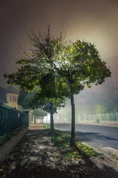 Walking path through village with tree at night lit by street lamps during fog Stock Photos