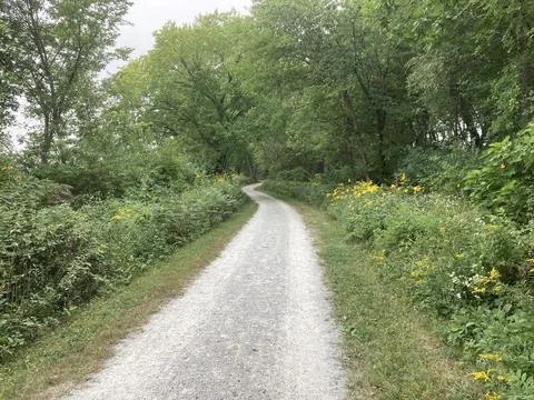 Walking Path toward Woods Stock Photos
