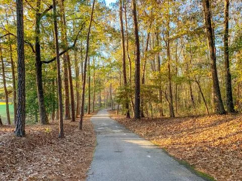 Walking path in the trees through a park Stock Photos