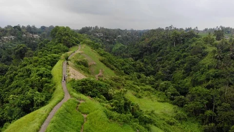 Walking path in Ubud Stock Footage 91282378