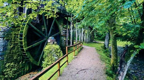 Walking path by water mill in the forest Stock-Fotos