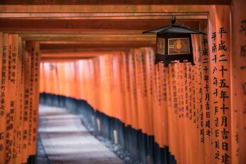 Walking path way of red torii gates in Fushimi Inari temple Stock Photos