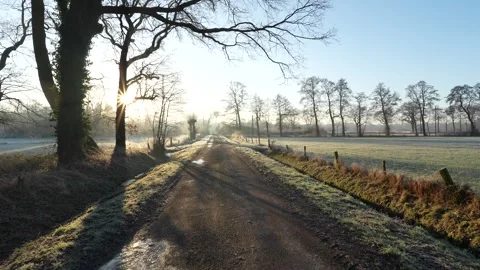 Walking a path on winter morning, sun rise. Stock Footage 305862042