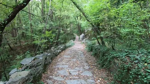 Walking paths Stock Footage 118366693