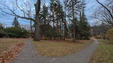 Walking paths fork in the middle of High Park Фото