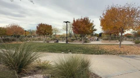 Walking Paths in Henderson Park with Red Orange Autumn Foliage and Dry Flowers Stock Photos