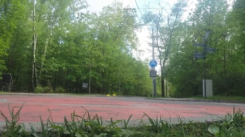 Walking paths in park at summer day timelapse 스톡 동영상 78018914