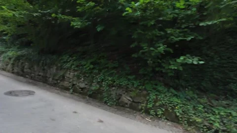 Walking Paths Through a Green Park in Freiburg im Breisgau, Germany Stock Footage 339677547