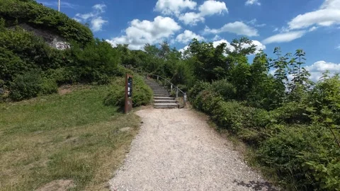 Walking Paths Through a Green Park in Freiburg im Breisgau, Germany Stock Footage 339677675