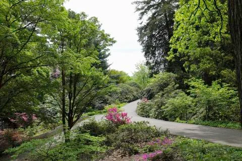 Walking paths through the park Stock Photos