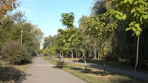 Walking paths in a warm autumn park Stock Footage 119104743