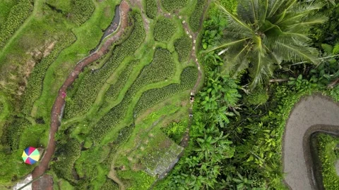 Walking paths winding through a traditio... | Stock Video | Pond5