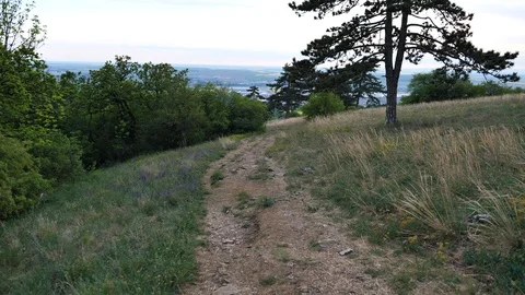 Walking on pathway on border of Zobor forest steppe during spring, 4K Stock Footage 107530500
