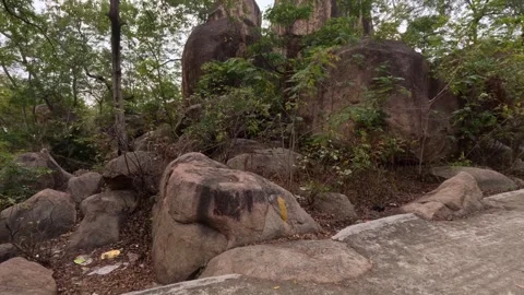 Walking the Pathway to Mama Vagne Pahar | Scenic POV Nature Footage Vídeo Stock 343828201