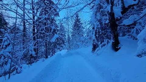 Walking in the a pathway surrounded by snow 動画素材 219740475