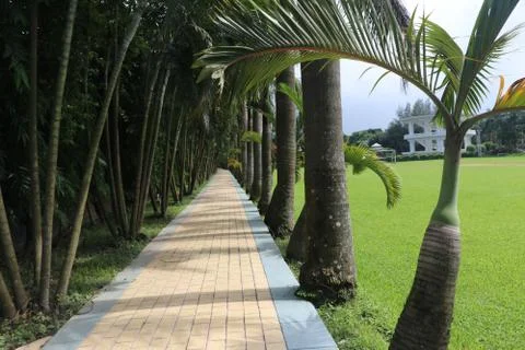Walking pathways inside the park. Stock Photos