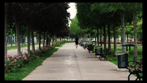 Walking on the pedestrian path between flowers in the citypark Stock Footage 296551983
