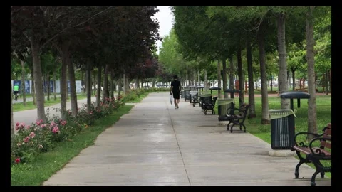 Walking on the pedestrian path between flowers in the citypark Stock Footage 296552086