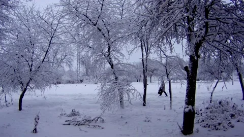 Walking pedestrian in winter Stock Footage 132689516