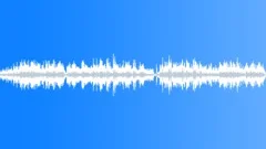Walking With Penguins Loop Stock Music