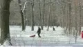 The walking people in the city forest area HD Footage