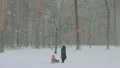 The walking people in the city forest area HD Footage