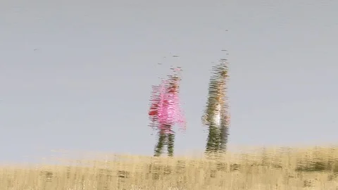 Walking people reflection in the water Stock Footage 81608022