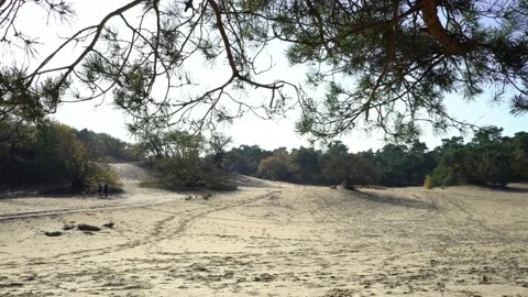 Walking people on sand 4K Stock Footage 142582222