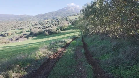 Walking perspective on isolated dirt track near fields and mountain forest 動画素材 328093238
