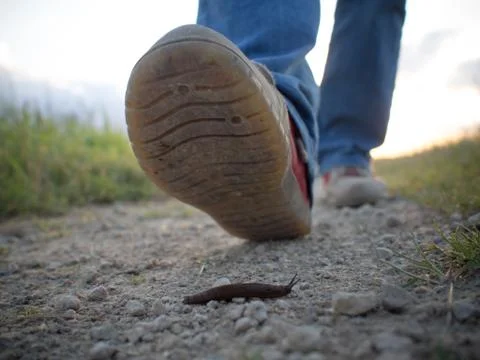 Walking Stock Photos