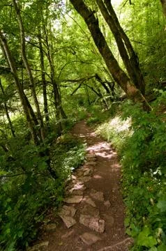 Walking Stock Photos