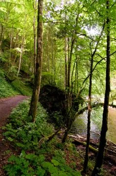 Walking Stock Photos