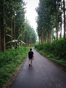 Walking Stock Photos