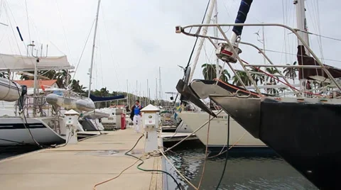 WALKING THE PIER Stock Footage 34204415