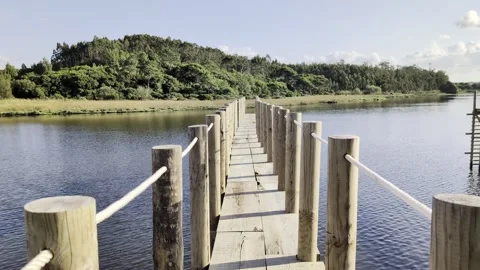 Walking on planks over lagoon Stock Footage 288128173