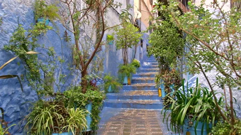 Walking up plants lined blue steps in side street, Chefchaouen, Morocco Stock-Footage 311808001