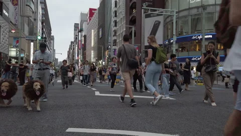 Walking point of view. Ginza area in Tokyo , Japan . Stock Footage 229224495