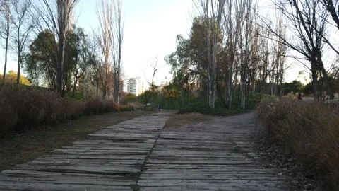 Walking point of view through a wooden pathway in a park surrounded by nature Stock Footage 146956358