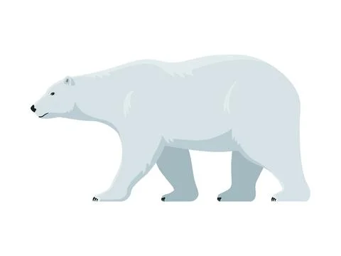Walking polar bear Stock Illustration