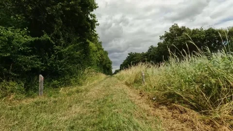 Walking in the polder. Video stock 255273213