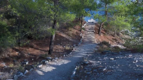 Walking POV on Coastal Forest Path Towards the Blue Sea Stock Footage 341676874