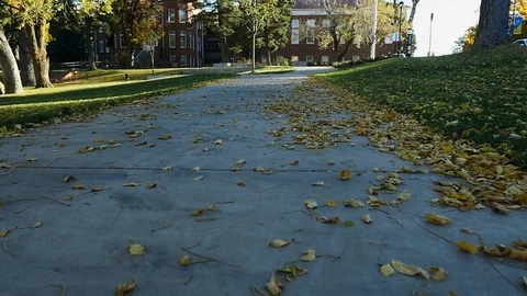 Walking POV on college campus with Autumn leaves falling Stock Footage
