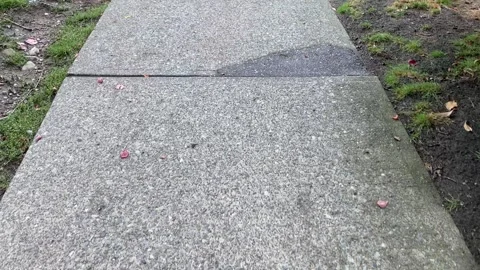 Walking POV High Angle of Sidewalk Stock Footage 282627784