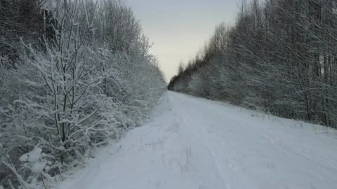 Walking POV on hiking path through winter forest Stock Footage 169703058